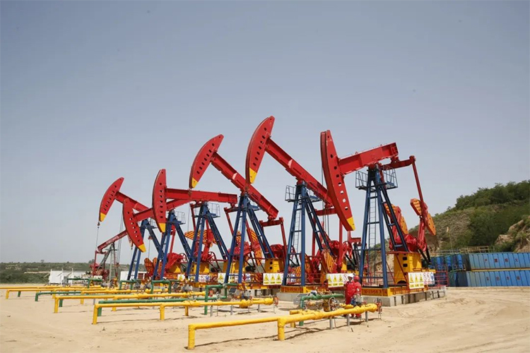 1724203620548905.jpg 7.jpg