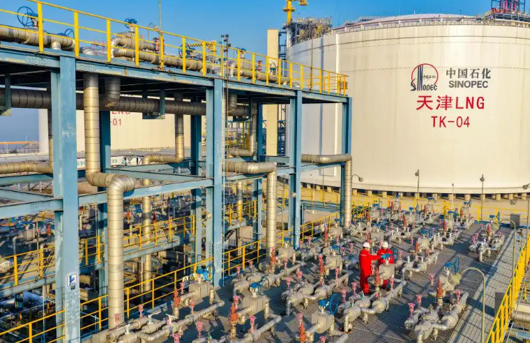 1767005445712345.png image.png